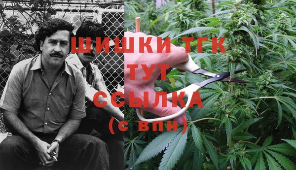 винт Алзамай