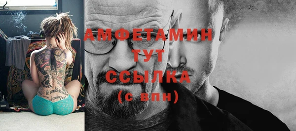 сатива Алексин